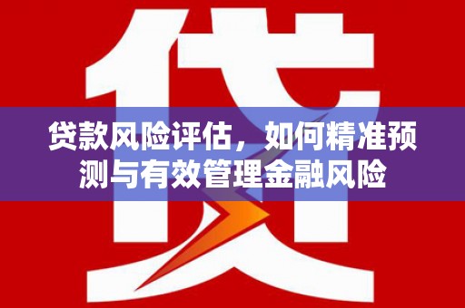 宣威贷款风险评估，如何精准预测与有效管理金融风险