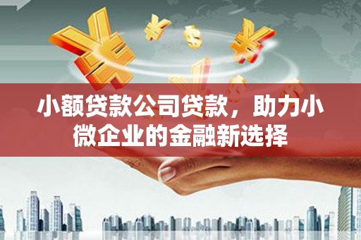 宣威小额贷款公司贷款，助力小微企业的金融新选择