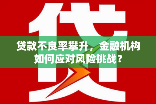 宣威贷款不良率攀升，金融机构如何应对风险挑战？