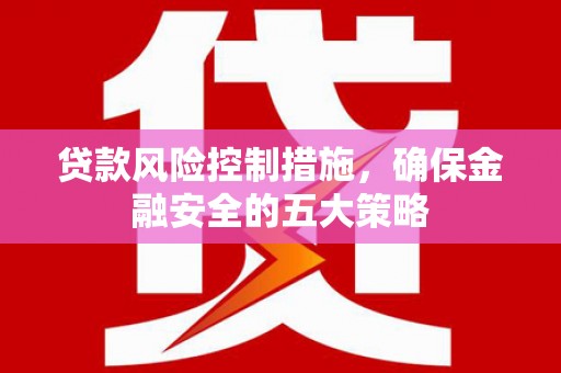 宣威贷款风险控制措施，确保金融安全的五大策略