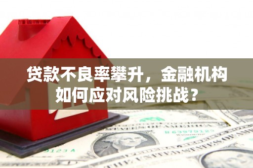 宣威贷款不良率攀升，金融机构如何应对风险挑战？