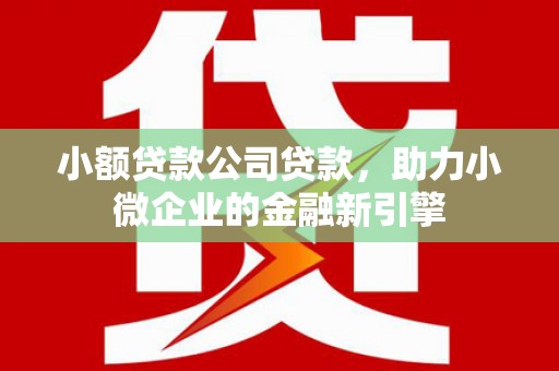 宣威小额贷款公司贷款，助力小微企业的金融新引擎