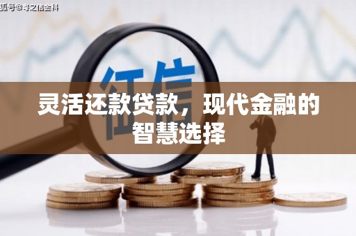 宣威灵活还款贷款，现代金融的智慧选择