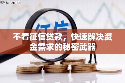 宣威不看征信贷款，快速解决资金需求的秘密武器