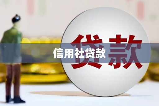 宣威信用社贷款