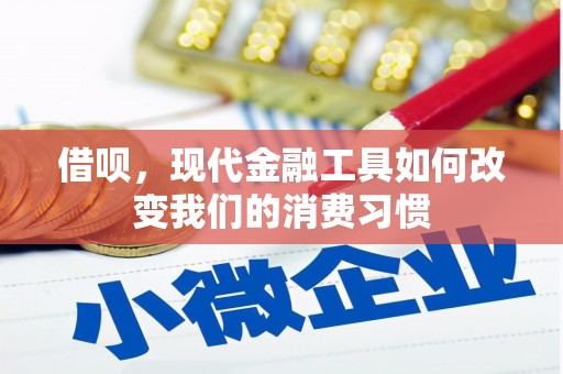 宣威借呗，现代金融工具如何改变我们的消费习惯