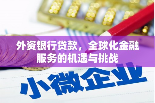 宣威外资银行贷款，全球化金融服务的机遇与挑战