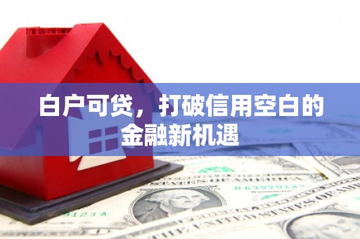 宣威白户可贷，打破信用空白的金融新机遇