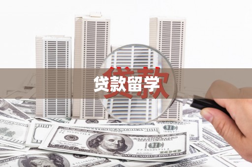 宣威贷款留学