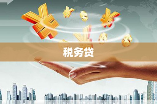 宣威税务贷