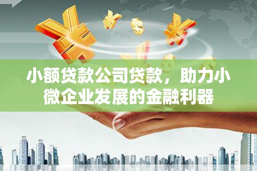 宣威小额贷款公司贷款，助力小微企业发展的金融利器