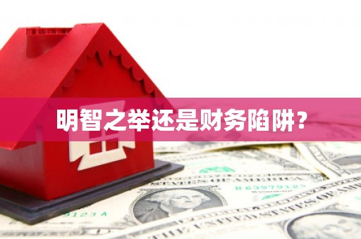 宣威明智之举还是财务陷阱？