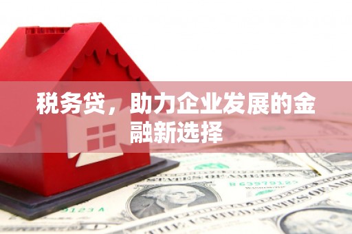 宣威税务贷，助力企业发展的金融新选择