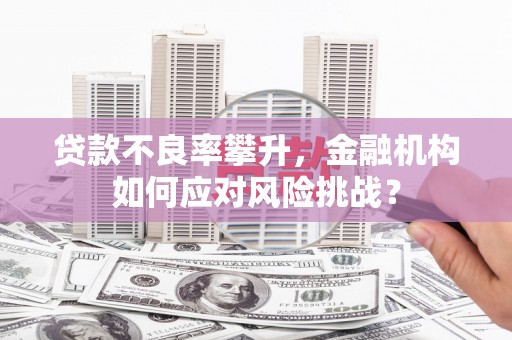 宣威贷款不良率攀升，金融机构如何应对风险挑战？