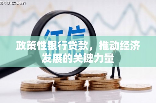 宣威政策性银行贷款，推动经济发展的关键力量