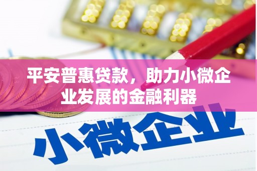 宣威平安普惠贷款，助力小微企业发展的金融利器