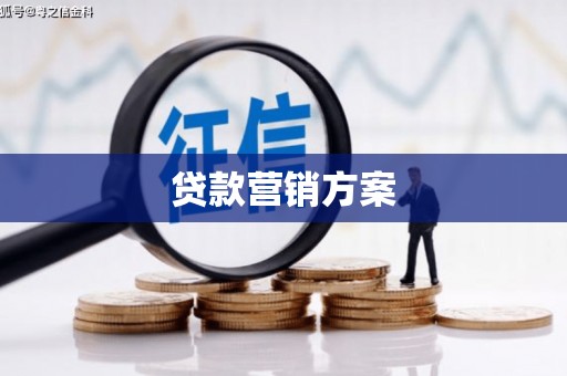 宣威贷款营销方案