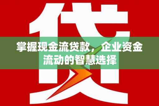 宣威掌握现金流贷款，企业资金流动的智慧选择