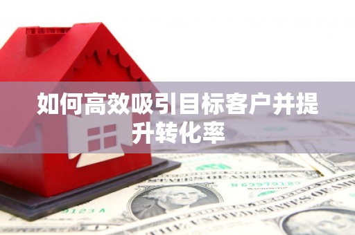 宣威如何高效吸引目标客户并提升转化率