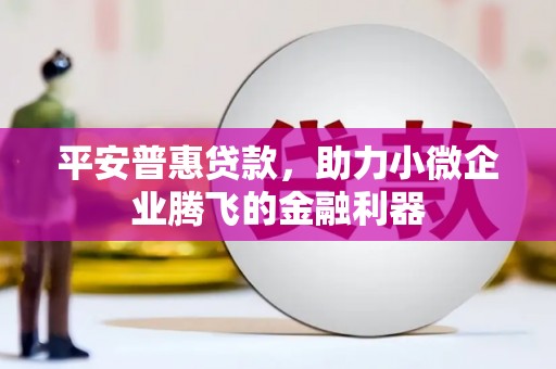 宣威平安普惠贷款，助力小微企业腾飞的金融利器
