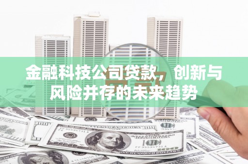 宣威金融科技公司贷款，创新与风险并存的未来趋势