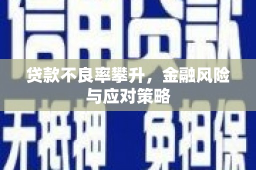 宣威贷款不良率攀升，金融风险与应对策略