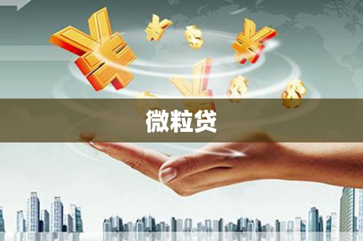 宣威微粒贷