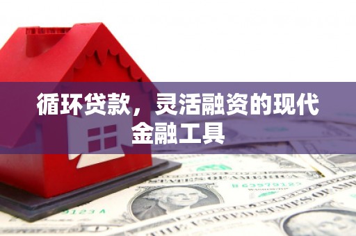 宣威循环贷款，灵活融资的现代金融工具