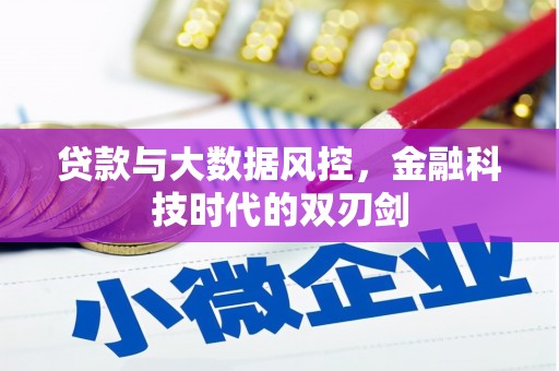 宣威贷款与大数据风控，金融科技时代的双刃剑