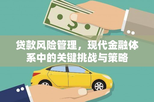 宣威贷款风险管理，现代金融体系中的关键挑战与策略