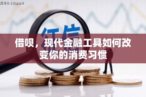 宣威借呗，现代金融工具如何改变你的消费习惯