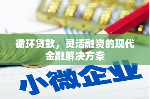 宣威循环贷款，灵活融资的现代金融解决方案