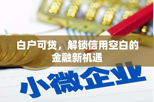 宣威白户可贷，解锁信用空白的金融新机遇
