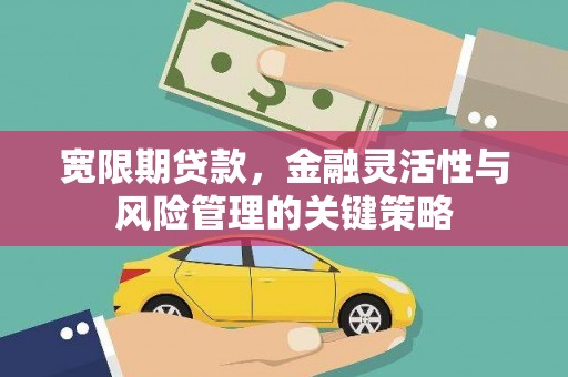 宣威宽限期贷款，金融灵活性与风险管理的关键策略