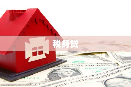 宣威税务贷