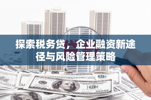 宣威探索税务贷，企业融资新途径与风险管理策略