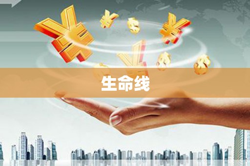 宣威生命线