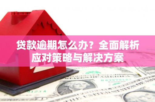 宣威贷款逾期怎么办？全面解析应对策略与解决方案