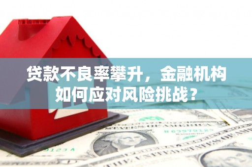 宣威贷款不良率攀升，金融机构如何应对风险挑战？