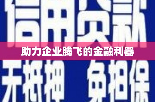 宣威助力企业腾飞的金融利器