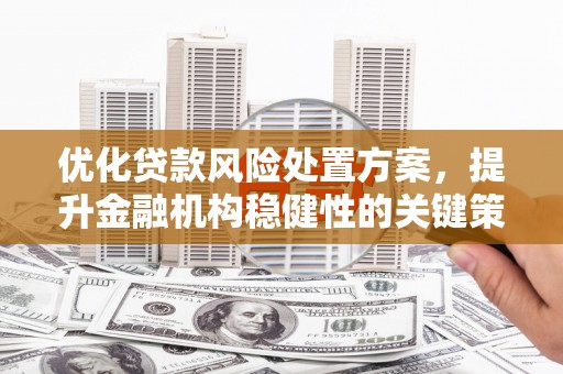 宣威优化贷款风险处置方案，提升金融机构稳健性的关键策略