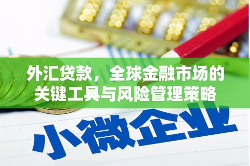 宣威外汇贷款，全球金融市场的关键工具与风险管理策略