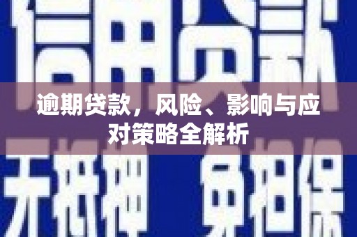 宣威逾期贷款，风险、影响与应对策略全解析