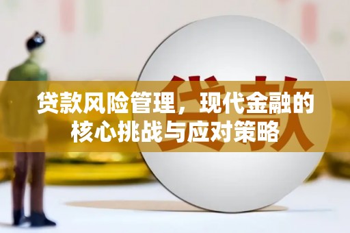 宣威贷款风险管理，现代金融的核心挑战与应对策略