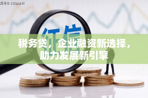 宣威税务贷，企业融资新选择，助力发展新引擎