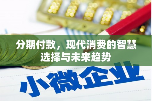 宣威分期付款，现代消费的智慧选择与未来趋势