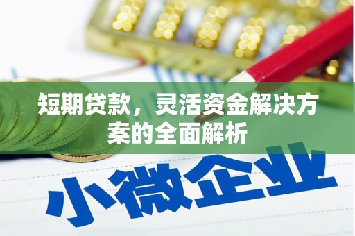 宣威短期贷款，灵活资金解决方案的全面解析