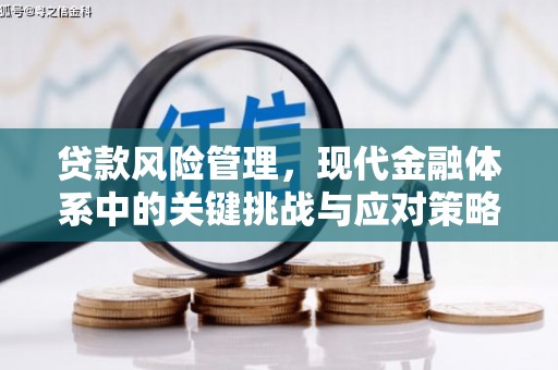 宣威贷款风险管理，现代金融体系中的关键挑战与应对策略
