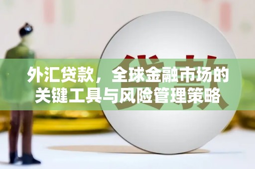 宣威外汇贷款，全球金融市场的关键工具与风险管理策略