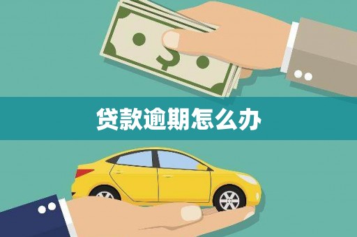宣威贷款逾期怎么办